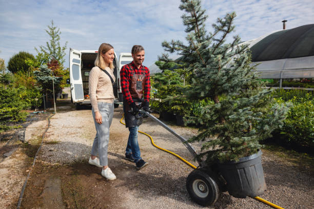 Tree Health Inspection in Bloomsburg, PA